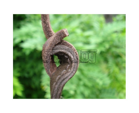 Bici profesional pentru dresaj canin 