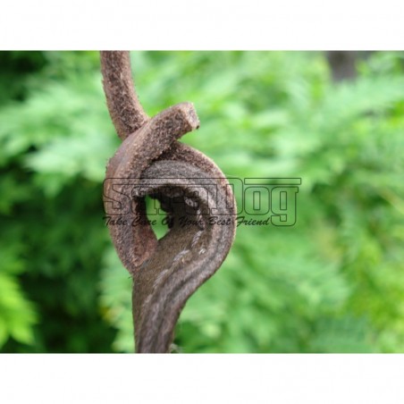 Bici profesional pentru dresaj canin 