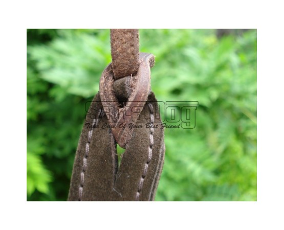 Bici profesional pentru dresaj canin 