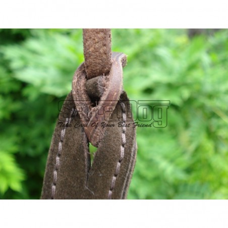 Bici profesional pentru dresaj canin 