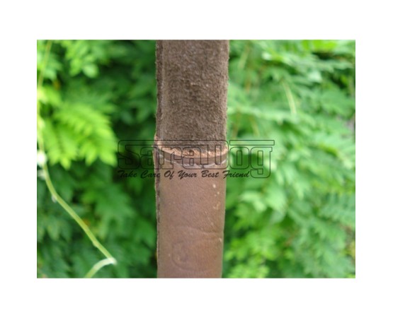 Bici profesional pentru dresaj canin 