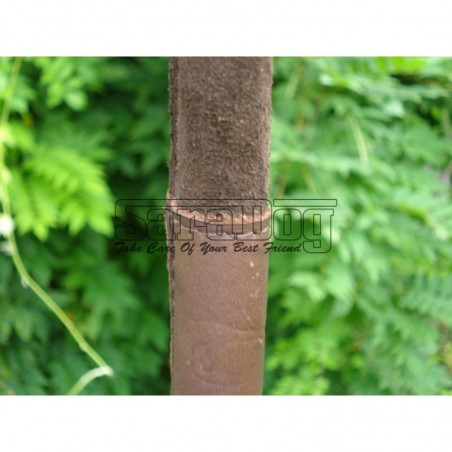 Bici profesional pentru dresaj canin 