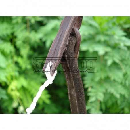 Bici profesional pentru dresaj canin 