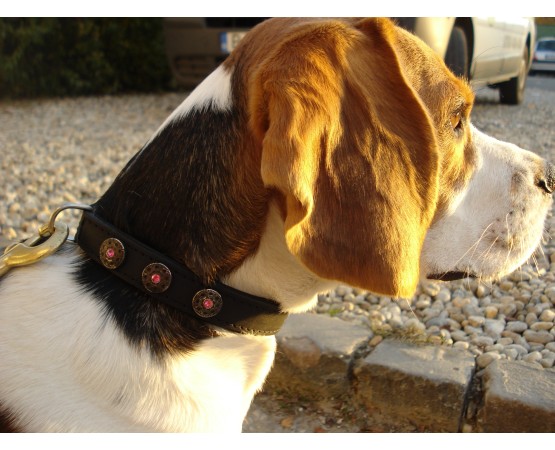 Zgardă de lux pentru caini , din piele naturala şi cristale Swarovski roz 