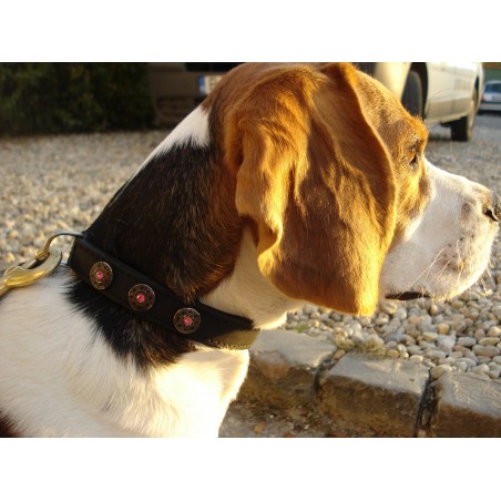 Zgardă de lux pentru caini , din piele naturala şi cristale Swarovski roz 