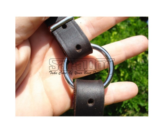 Ham din piele pentru dresajul de urma caini ( Bottcher )