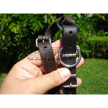 Ham din piele pentru dresajul de urma caini ( Bottcher )