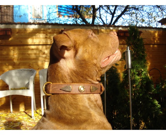 Zgardă de lux pentru caini , din piele naturala cu cristale swarovski