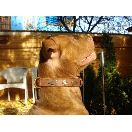 Zgardă de lux pentru caini , din piele naturala cu cristale swarovski