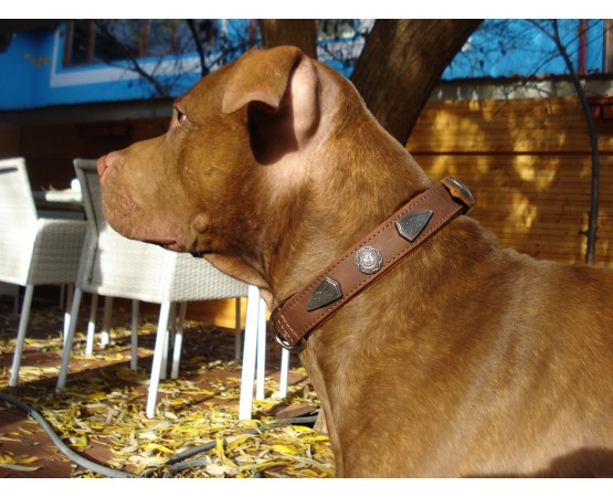 Zgardă de lux pentru caini , din piele naturala cu cristale swarovski