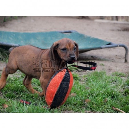 Minge pentru dresaj canin , din material francez 