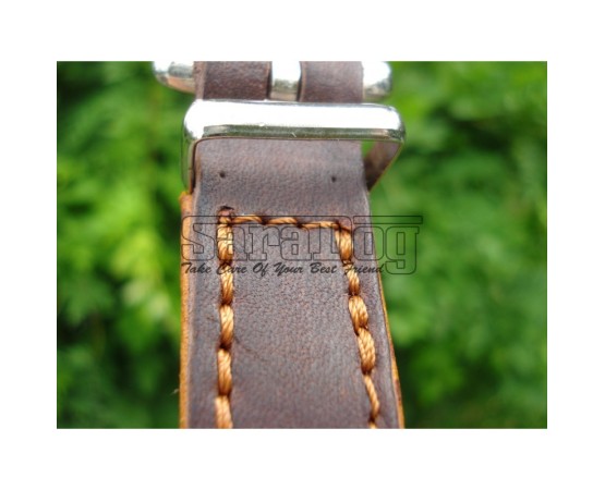 Zgardă de lux pentru caini , din piele naturala şi cristale Swarovski roz 