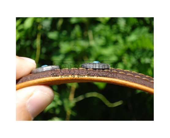Zgardă de lux pentru caini din piele naturala si cristale swarovski 