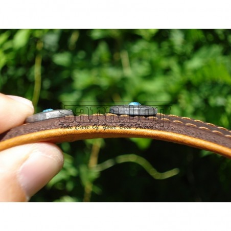 Zgardă de lux pentru caini din piele naturala si cristale swarovski 