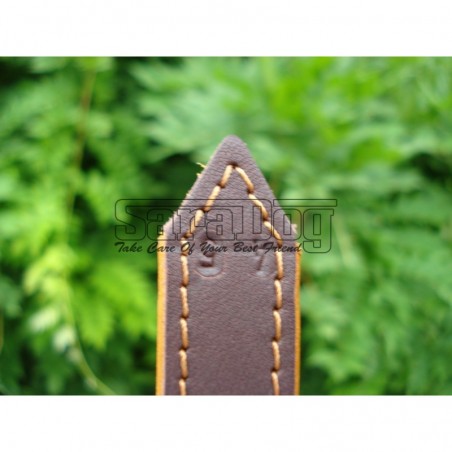 Zgardă de lux pentru caini din piele naturala si cristale swarovski 