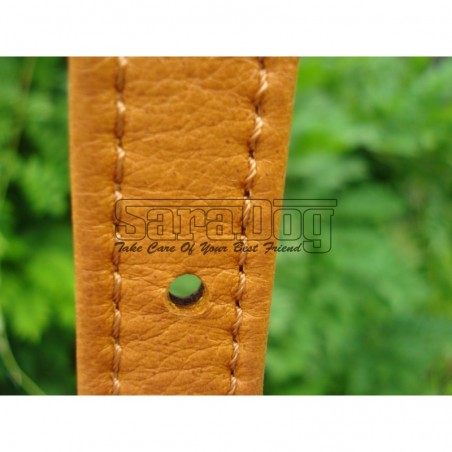 Zgardă de lux pentru caini din piele naturala si cristale swarovski 