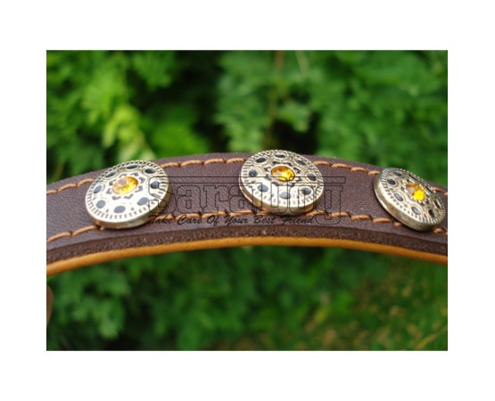 Zgardă de lux pentru caini , din piele naturala cu Cristale Swarovski Galben 