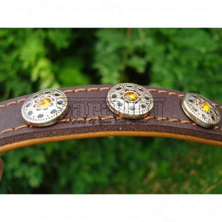 Zgardă de lux pentru caini , din piele naturala cu Cristale Swarovski Galben 