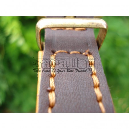 Zgardă de lux pentru caini , din piele naturala cu Cristale Swarovski Galben 