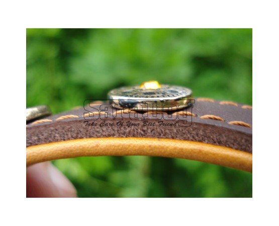 Zgardă de lux pentru caini , din piele naturala cu Cristale Swarovski Galben 