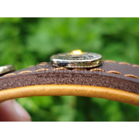 Zgardă de lux pentru caini , din piele naturala cu Cristale Swarovski Galben 
