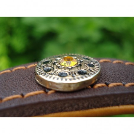 Zgardă de lux pentru caini , din piele naturala cu Cristale Swarovski Galben 