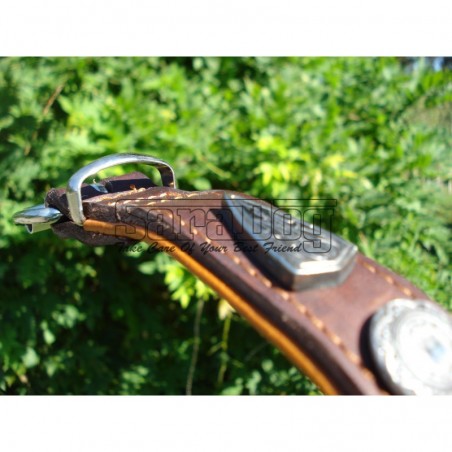 Zgardă de lux pentru caini , din piele naturala cu cristale swarovski