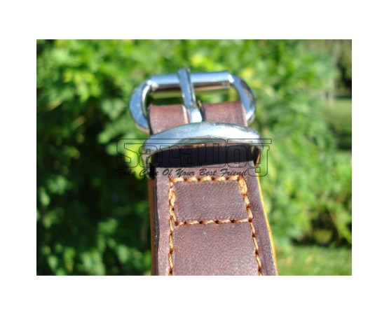 Zgardă de lux pentru caini , din piele naturala cu cristale swarovski