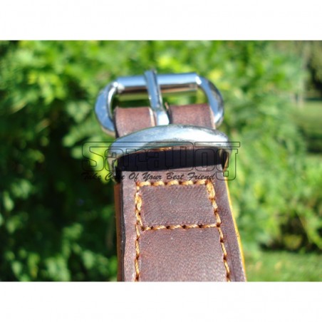 Zgardă de lux pentru caini , din piele naturala cu cristale swarovski