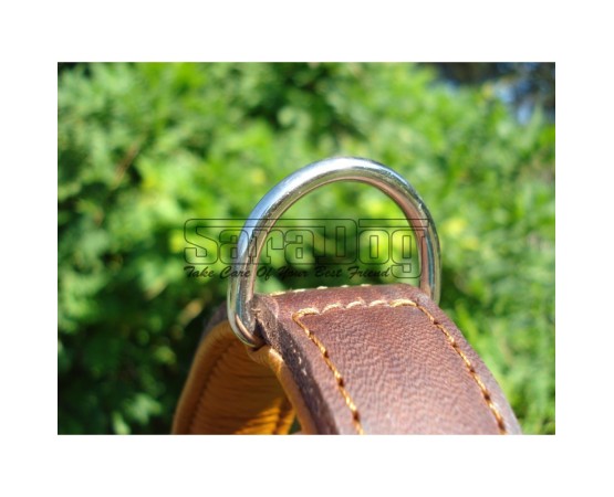 Zgardă de lux pentru caini , din piele naturala cu cristale swarovski