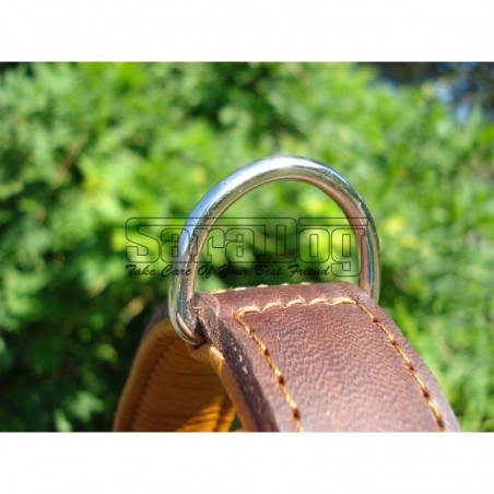 Zgardă de lux pentru caini , din piele naturala cu cristale swarovski