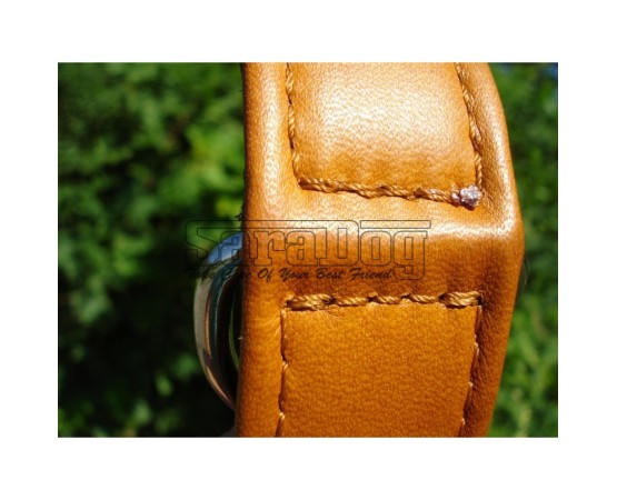 Zgardă de lux pentru caini , din piele naturala cu cristale swarovski