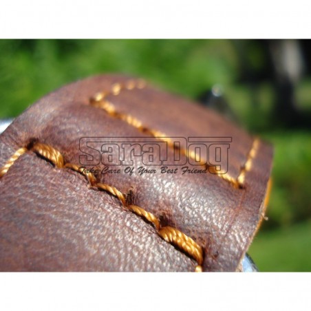 Zgardă de lux pentru caini , din piele naturala cu cristale swarovski