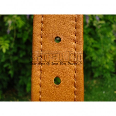 Zgardă de lux pentru caini , din piele naturala cu cristale swarovski