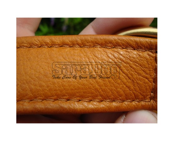 Zgardă de lux pentru caini , din piele naturala cu cristale swarovski