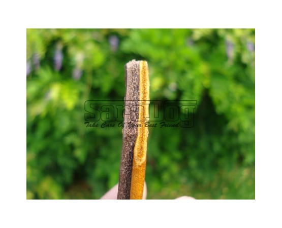 Zgardă de lux pentru caini , din piele naturala cu cristale swarovski