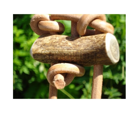 Lesa din piele rotunda pentru caini de vanatoare 