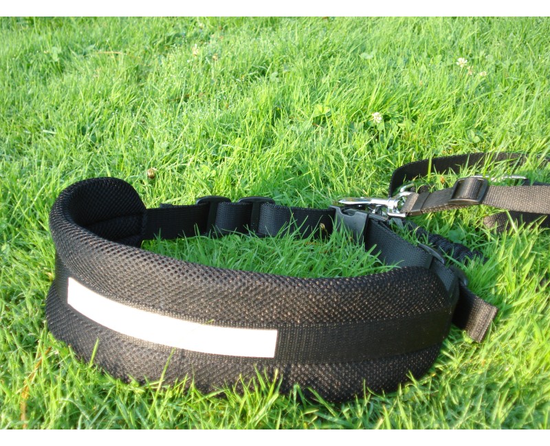 Lesa centura pentru jogging caini