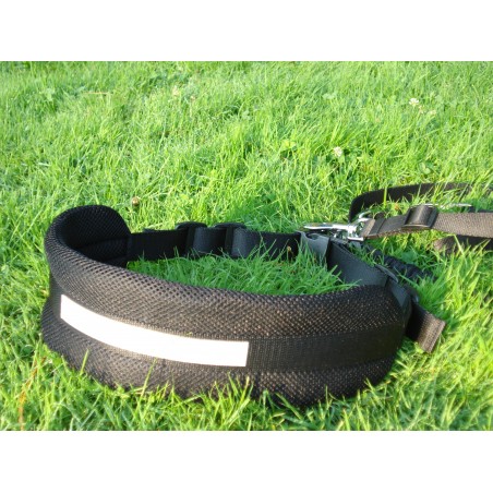 Lesa centura pentru jogging caini