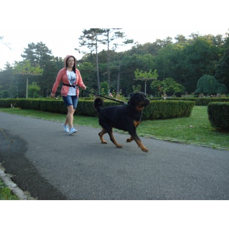 Lesa centura pentru jogging caini