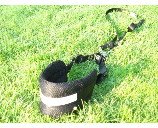 Lesa centura pentru jogging caini