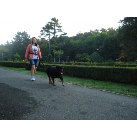 Lesa centura pentru jogging caini