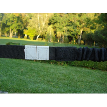 Lesa centura pentru jogging caini