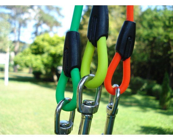 Lesa pentru caini , din BIOTHANE 