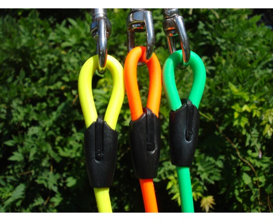 Lesa pentru caini , din BIOTHANE 