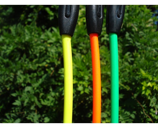 Lesa pentru caini , din BIOTHANE 