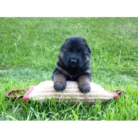 Perna de muscatura pentru dresaj canin , din iuta