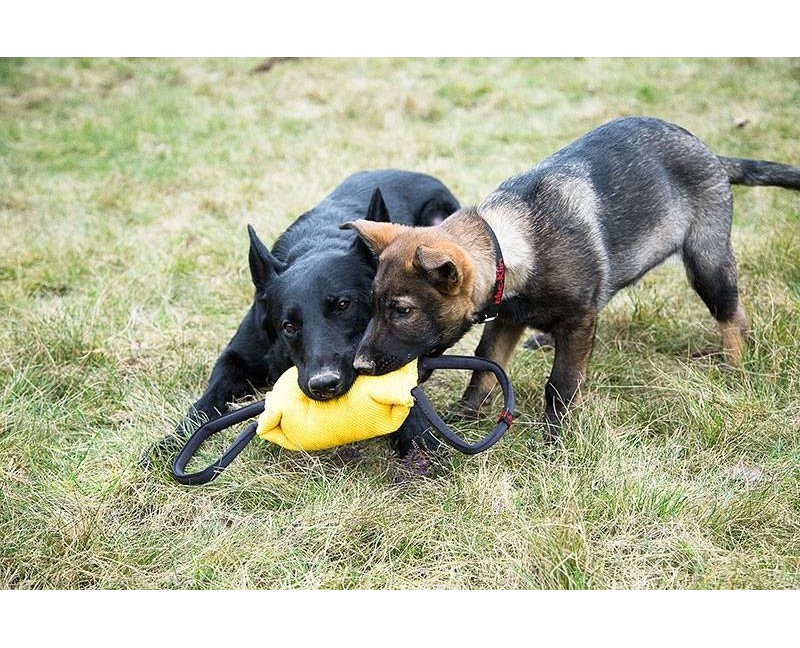 Perna de muscatura pentru dresaj canin , din material francez