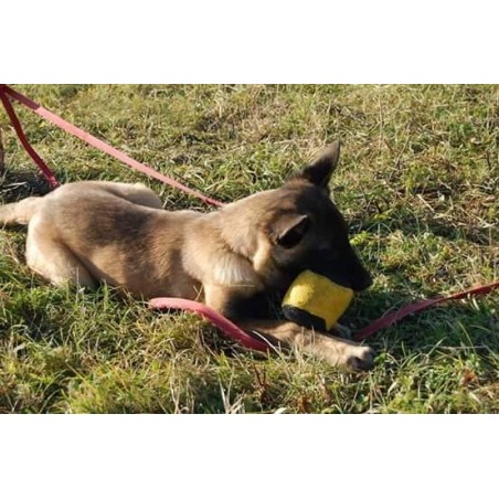 Minge pentru dresaj canin , din material francez