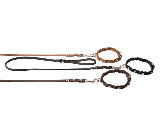 Set zgarda si lesa pentru caini , din piele naturala